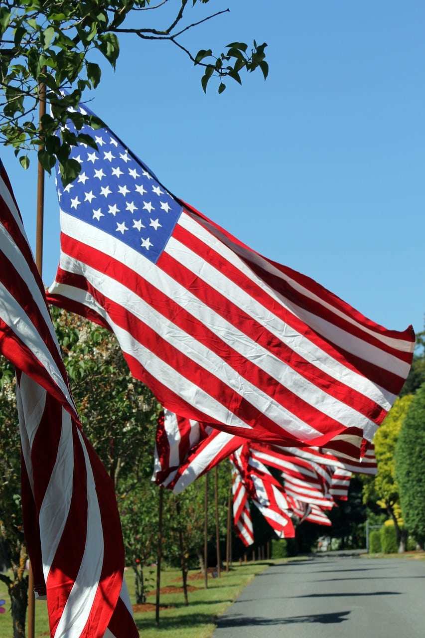 flag, cemetery, memorial day-3435475.jpg